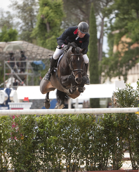 British Bred Stallion Argento Tops FEI World Breeding List British Bred Stallion Argento Tops FEI World Breeding List
